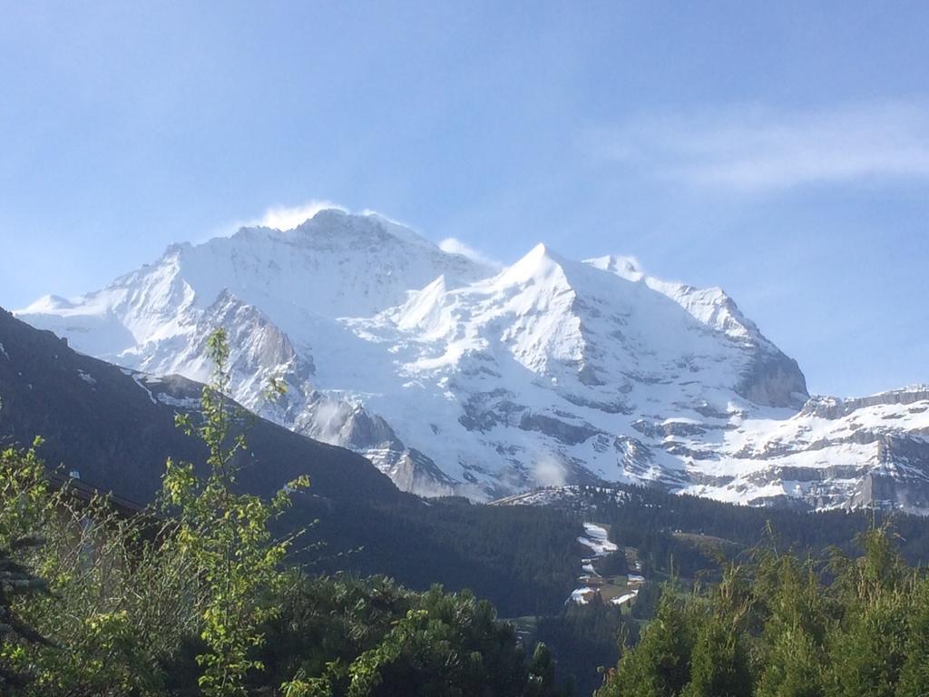 Chalet Protea Венген Номер фото